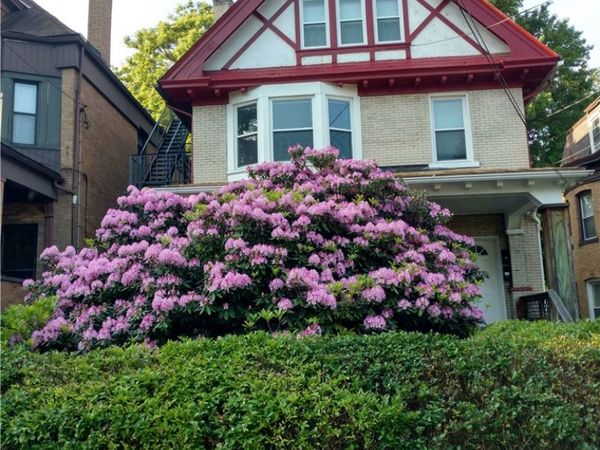 5846 Hobart, Pittsburgh, PA 15217