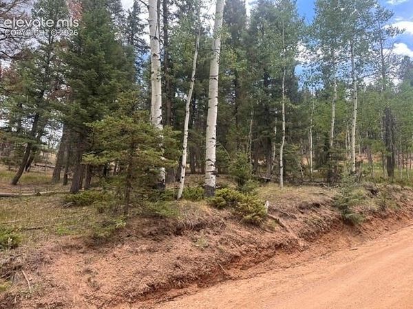 687 Trout Haven Road, Florissant, CO 80816