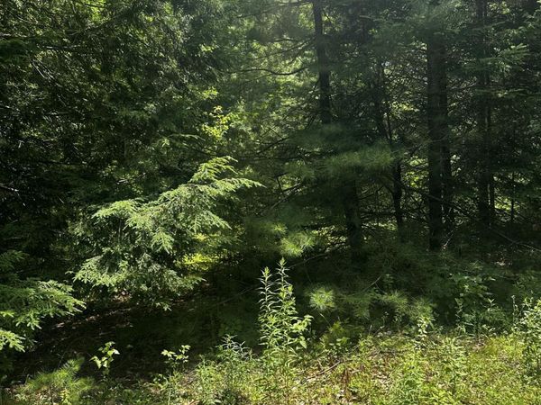 25 Cottage Lane , Orland, ME 04472