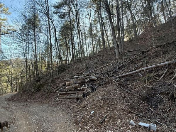 20 Meadow View Road , Unit 20, Sevierville, TN 37862