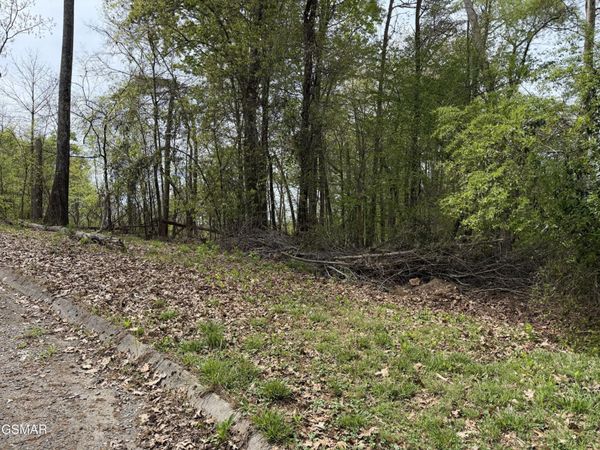 6 John Spears Way , Unit 6, Sevierville, TN 37876