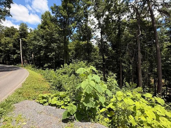 11 Cherokee Drive , Unit 11/C, Dandridge, TN 37725