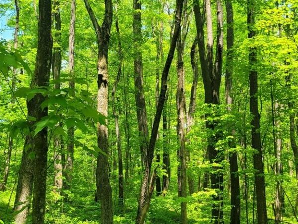 180 Hawkins Hollow Rd , Connellsville, PA 15425