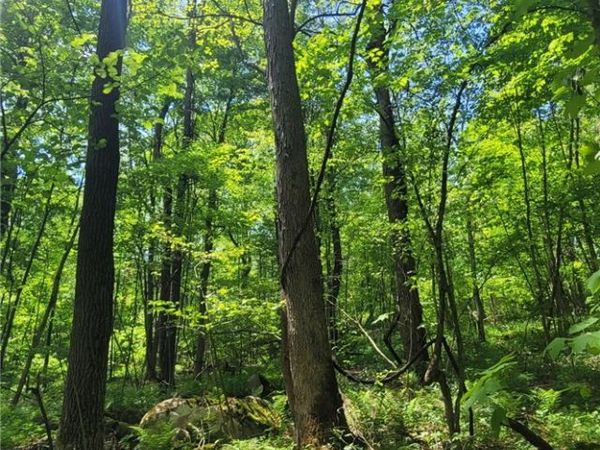 166 Camp Achievement Rd , Normalville, PA 15469