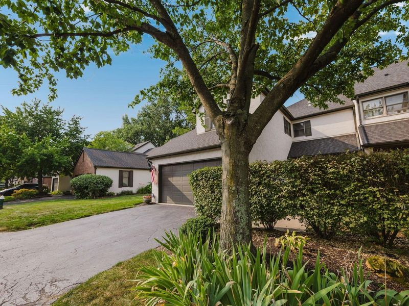 5202 Willow Grove Place N, Dublin, OH 43017 Photo 38