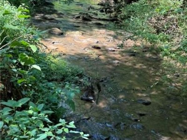 2633 Sprouse Road, Boonville, NC 27011