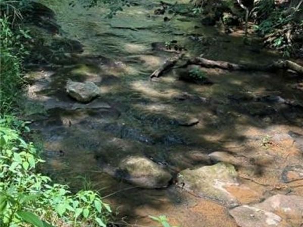 2633 Sprouse Road , Boonville, NC 27011