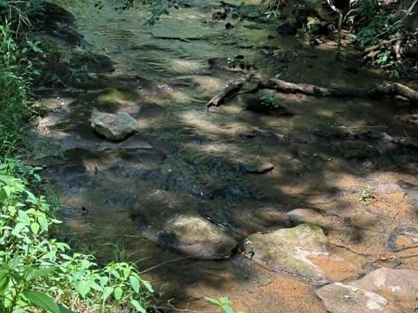 2633 Sprouse Road , Boonville, NC 27011
