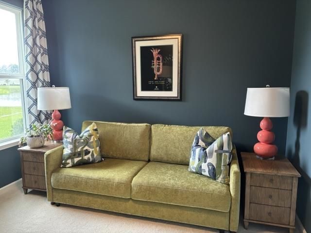 820 San Marco Ct. Photo 37