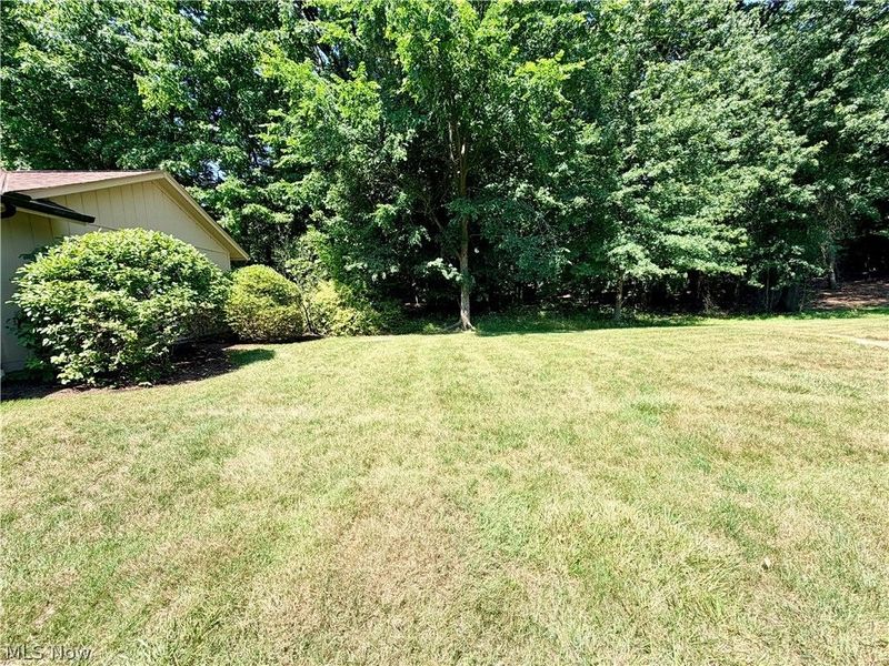 11106 Blodgett Creek Trail, Strongsville, OH 44149 Photo 3