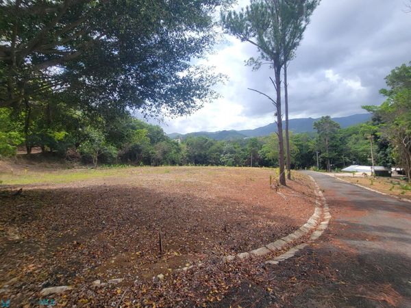 0 SECTOR LOS SOLA, Unit Parcela 3, Caguas, PR 00725