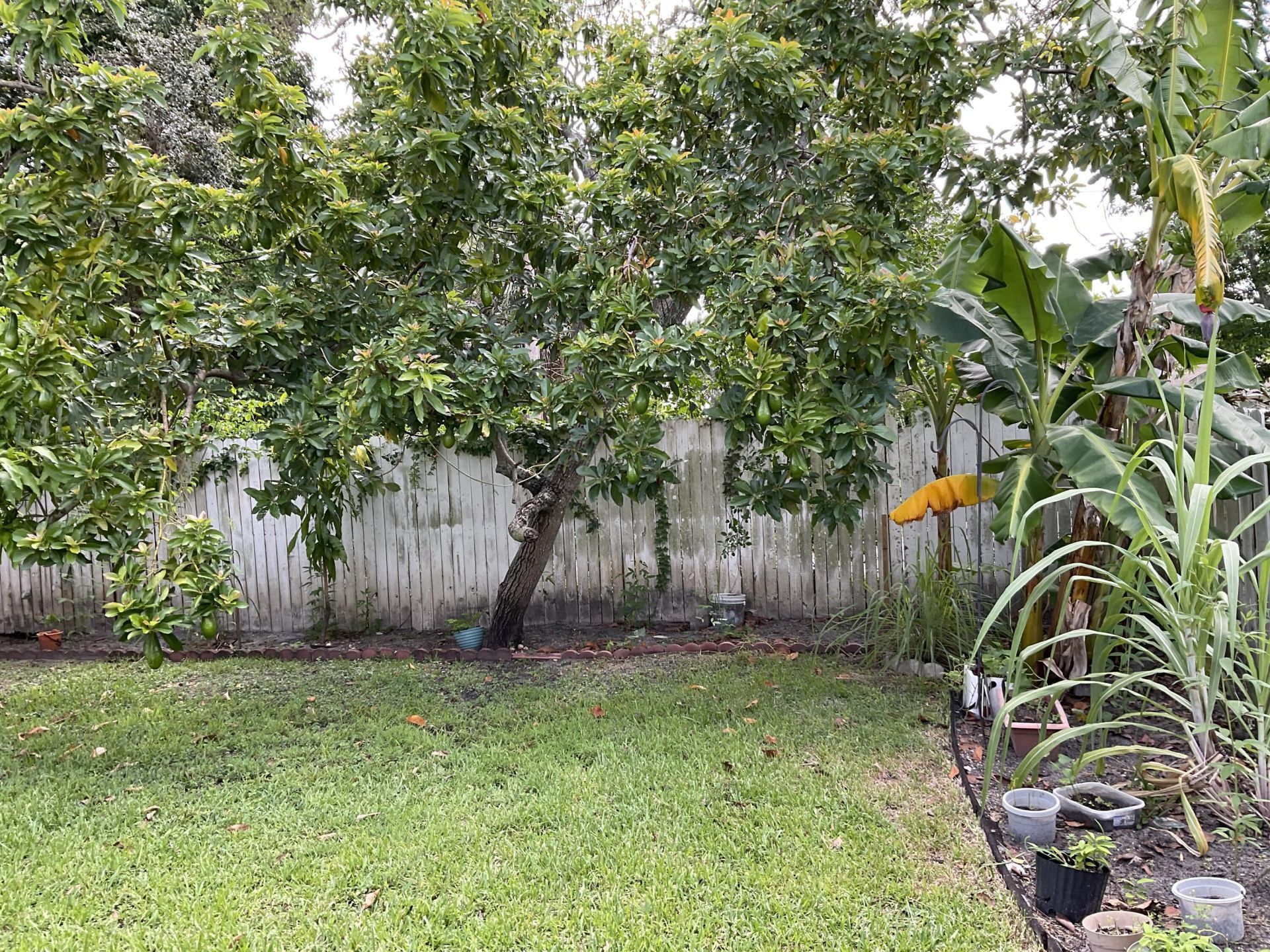 6566 Spring Meadow Drive, Greenacres, FL 33413 Photo