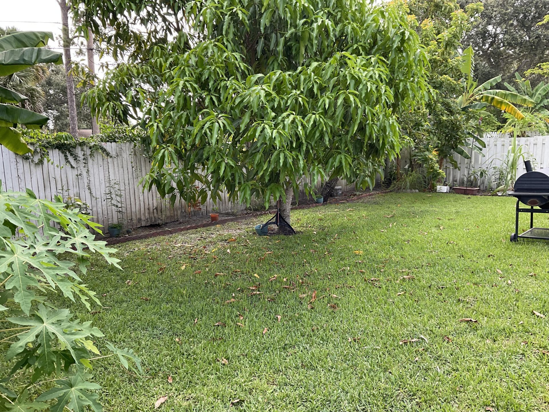6566 Spring Meadow Drive, Greenacres, FL 33413 Photo
