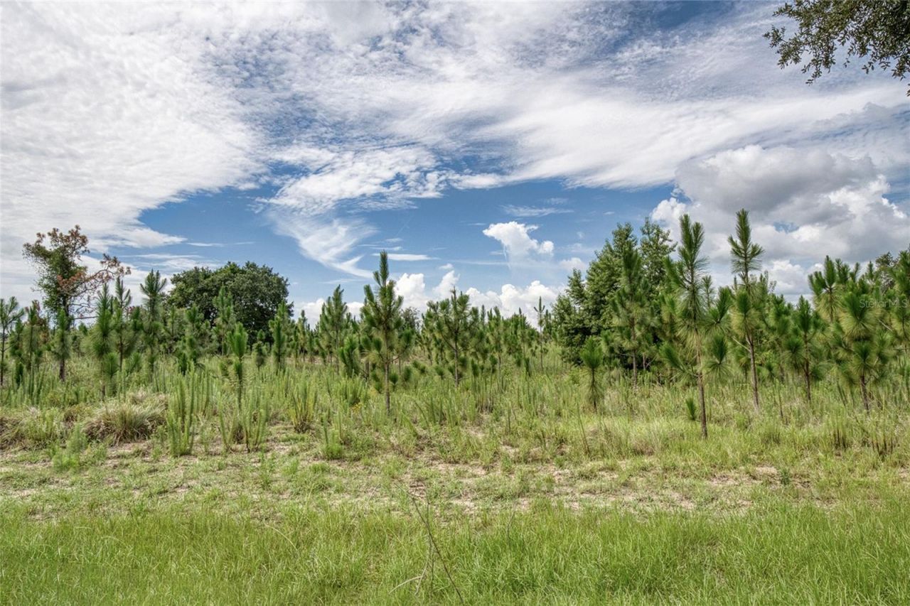 2924 Majestic Isle Drive , Clermont, FL 34711 Photo