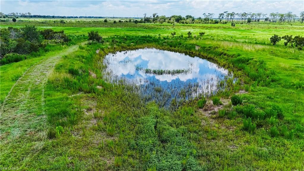 0 County Line Rd E, Fort Meade, FL 33841 Photo