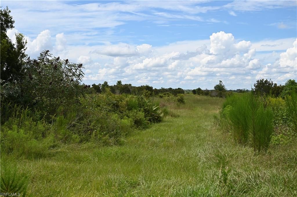 0 County Line Rd E, Fort Meade, FL 33841 Photo