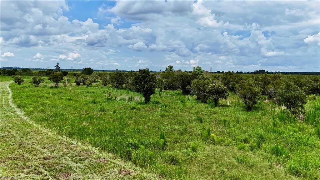 0 County Line Rd E, Fort Meade, FL 33841 Photo