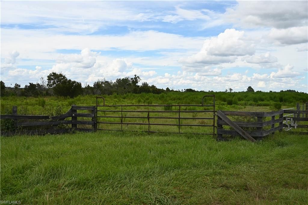 0 County Line Rd E, Fort Meade, FL 33841 Photo