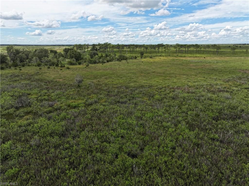 0 County Line Rd E, Fort Meade, FL 33841 Photo