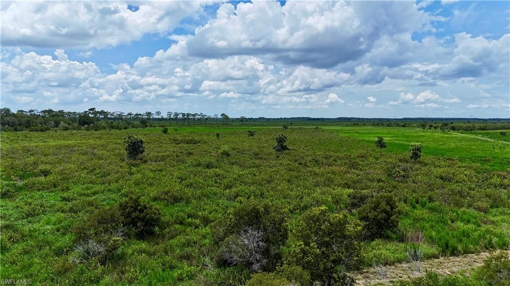 0 County Line Rd E, Fort Meade, FL 33841 Photo