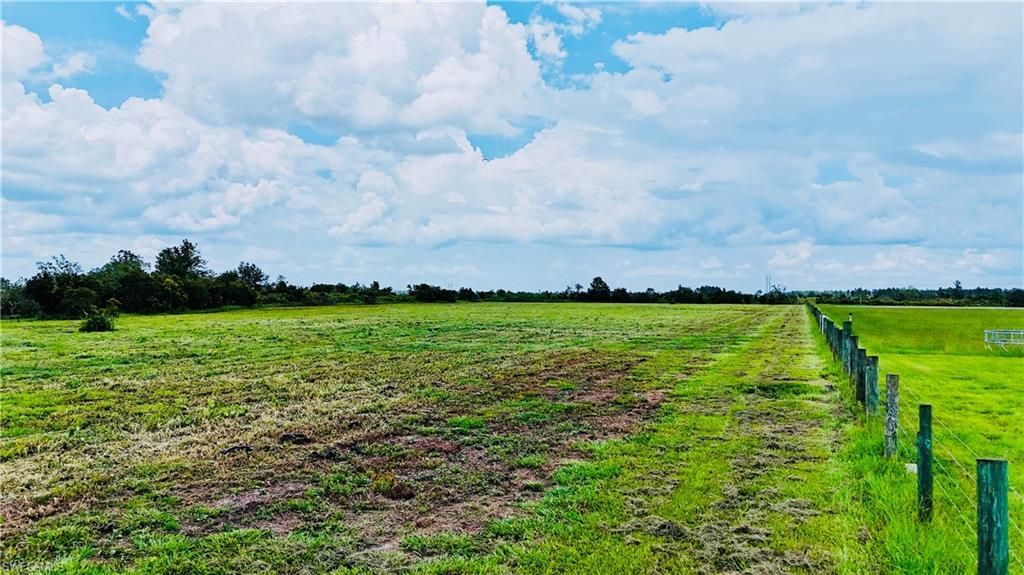 0 County Line Rd E, Fort Meade, FL 33841 Photo