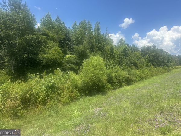 1475 Old us hwy Highway 1, Wadley, GA 30477