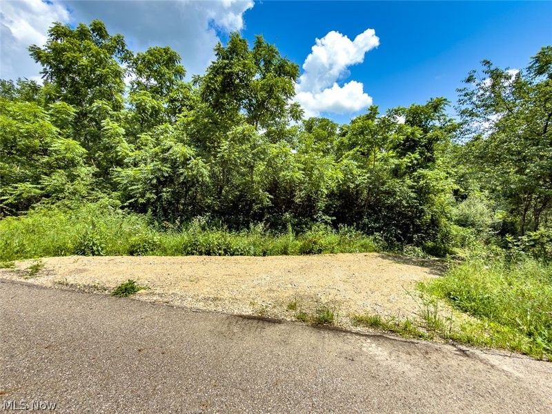 0 Whiskey Run Road, Quaker City, OH 43773 Photo 15