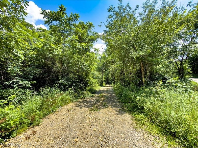 0 Whiskey Run Road, Quaker City, OH 43773 Photo 16