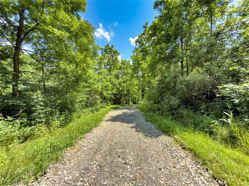 0 Whiskey Run Road, Quaker City, OH 43773 Photo 24