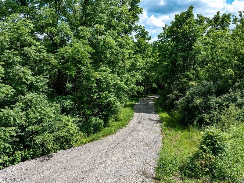 0 Whiskey Run Road, Quaker City, OH 43773 Photo 3