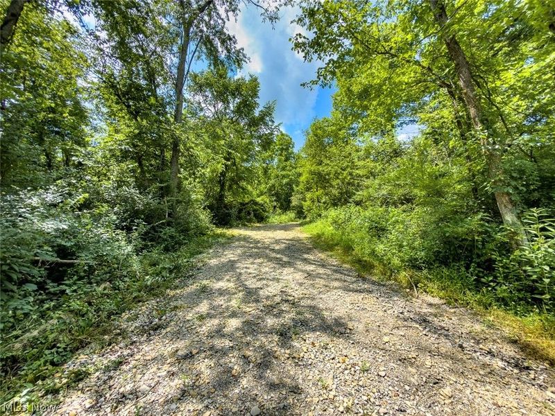 0 Whiskey Run Road, Quaker City, OH 43773 Photo 30