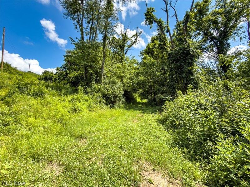 0 Whiskey Run Road, Quaker City, OH 43773 Photo 34