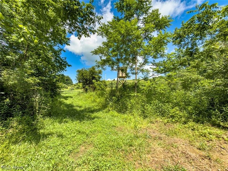 0 Whiskey Run Road, Quaker City, OH 43773 Photo 36