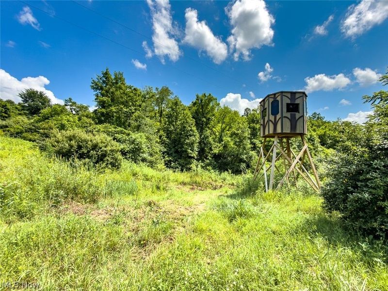 0 Whiskey Run Road, Quaker City, OH 43773 Photo 38