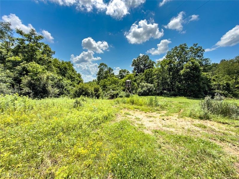 0 Whiskey Run Road, Quaker City, OH 43773 Photo 40
