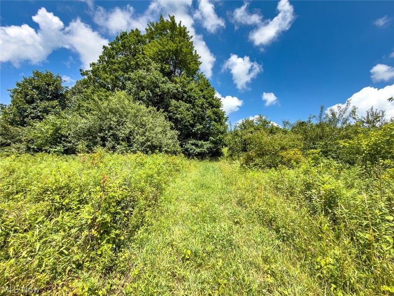 0 Whiskey Run Road, Quaker City, OH 43773 Photo 42