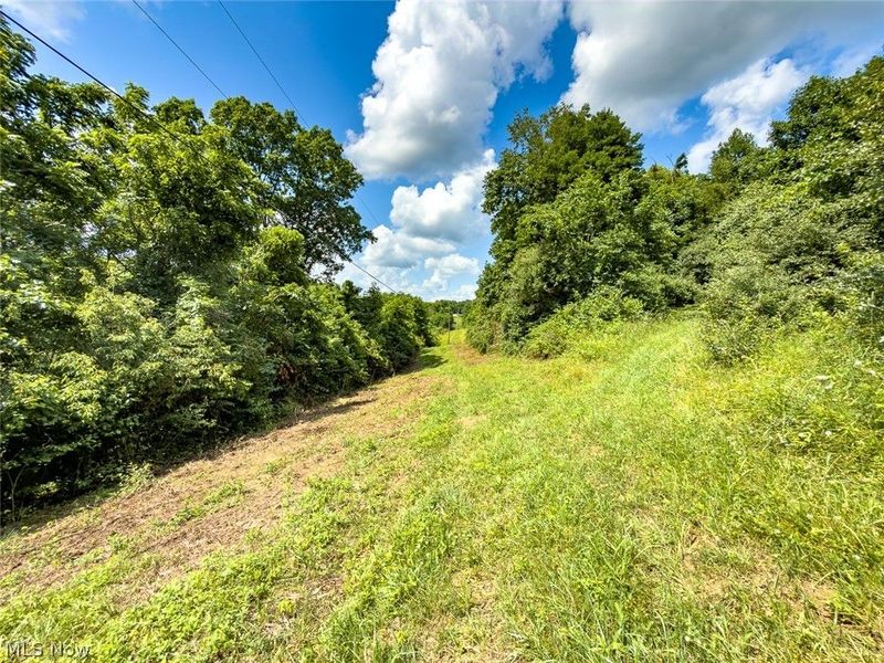0 Whiskey Run Road, Quaker City, OH 43773 Photo 45