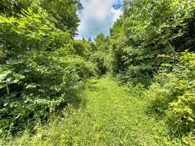 0 Whiskey Run Road, Quaker City, OH 43773 Photo 46