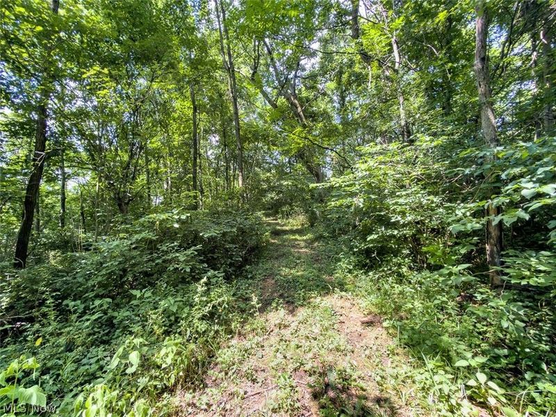 0 Whiskey Run Road, Quaker City, OH 43773 Photo 47