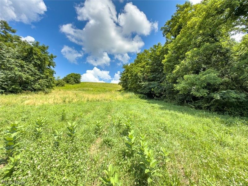 0 Whiskey Run Road, Quaker City, OH 43773 Photo 50