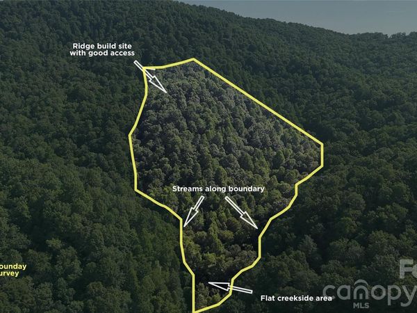 454 Forest Brook Road , Black Mountain, NC 28711