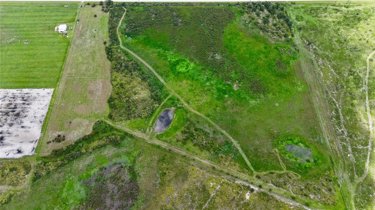County Line Road E, Fort Meade, FL 33841 Photo