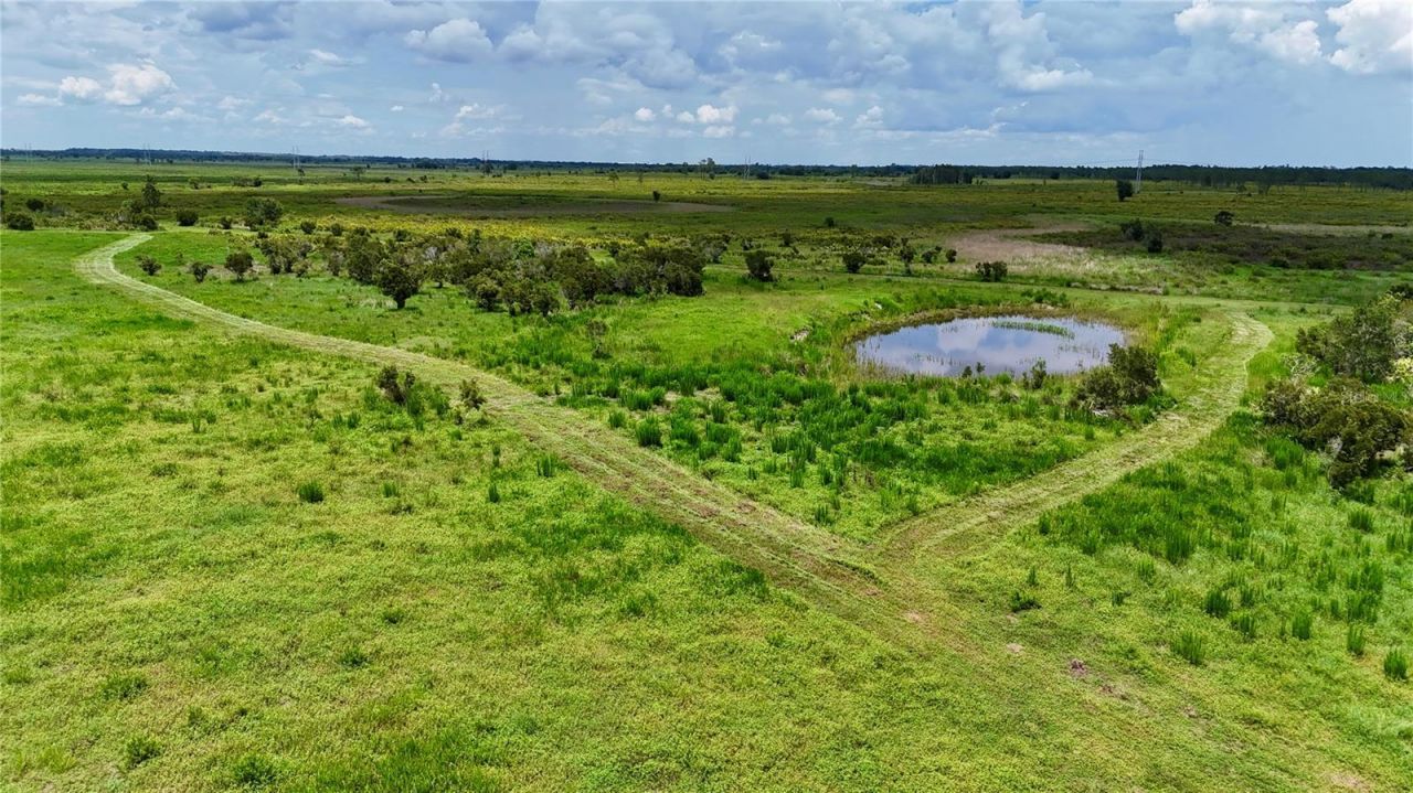 County Line Road E, Fort Meade, FL 33841 Photo