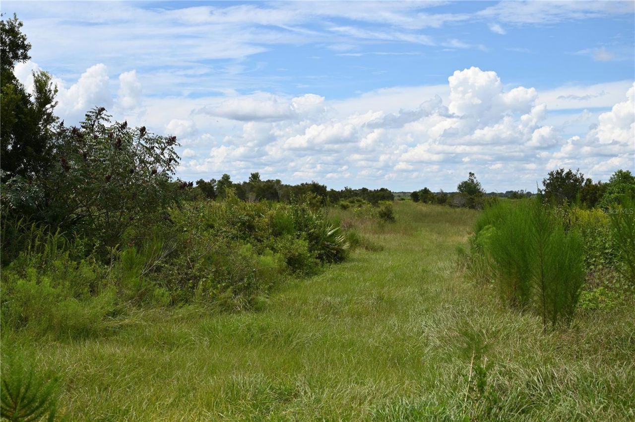 County Line Road E, Fort Meade, FL 33841 Photo