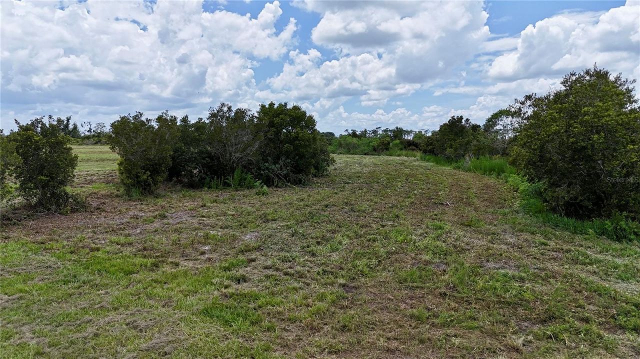 County Line Road E, Fort Meade, FL 33841 Photo