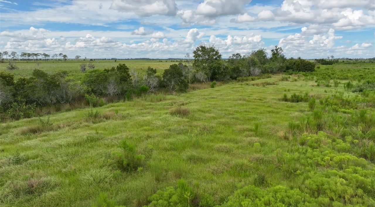 County Line Road E, Fort Meade, FL 33841 Photo