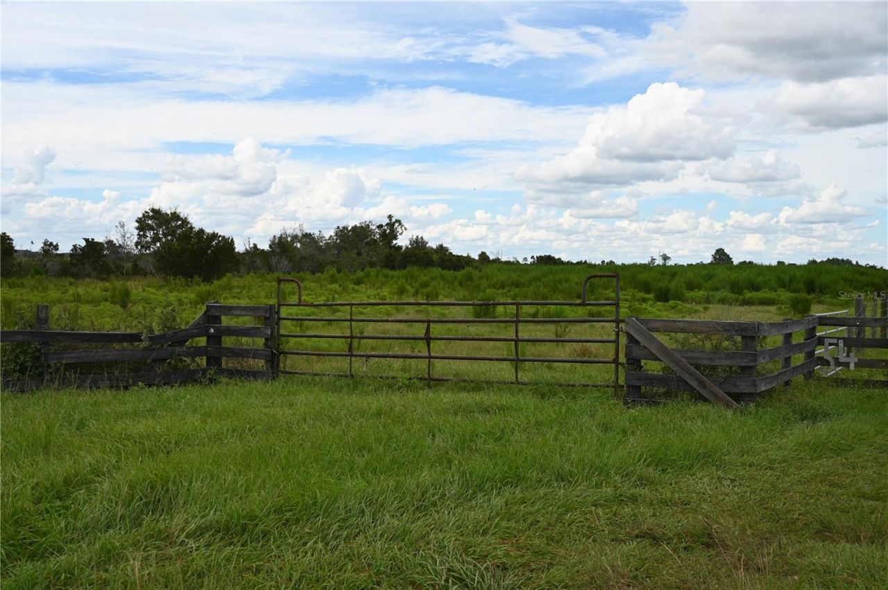 County Line Road E, Fort Meade, FL 33841 Photo