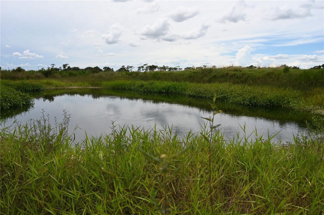 County Line Road E, Fort Meade, FL 33841 Photo