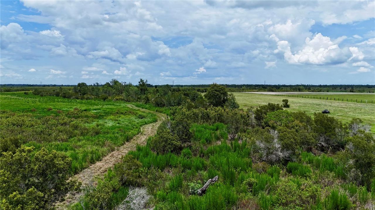 County Line Road E, Fort Meade, FL 33841 Photo