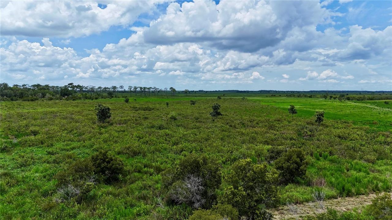 County Line Road E, Fort Meade, FL 33841 Photo